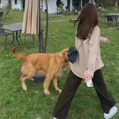 我为爱做过的傻事